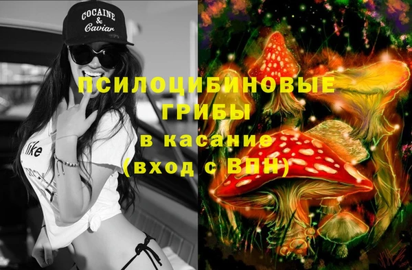 спайс Ельня